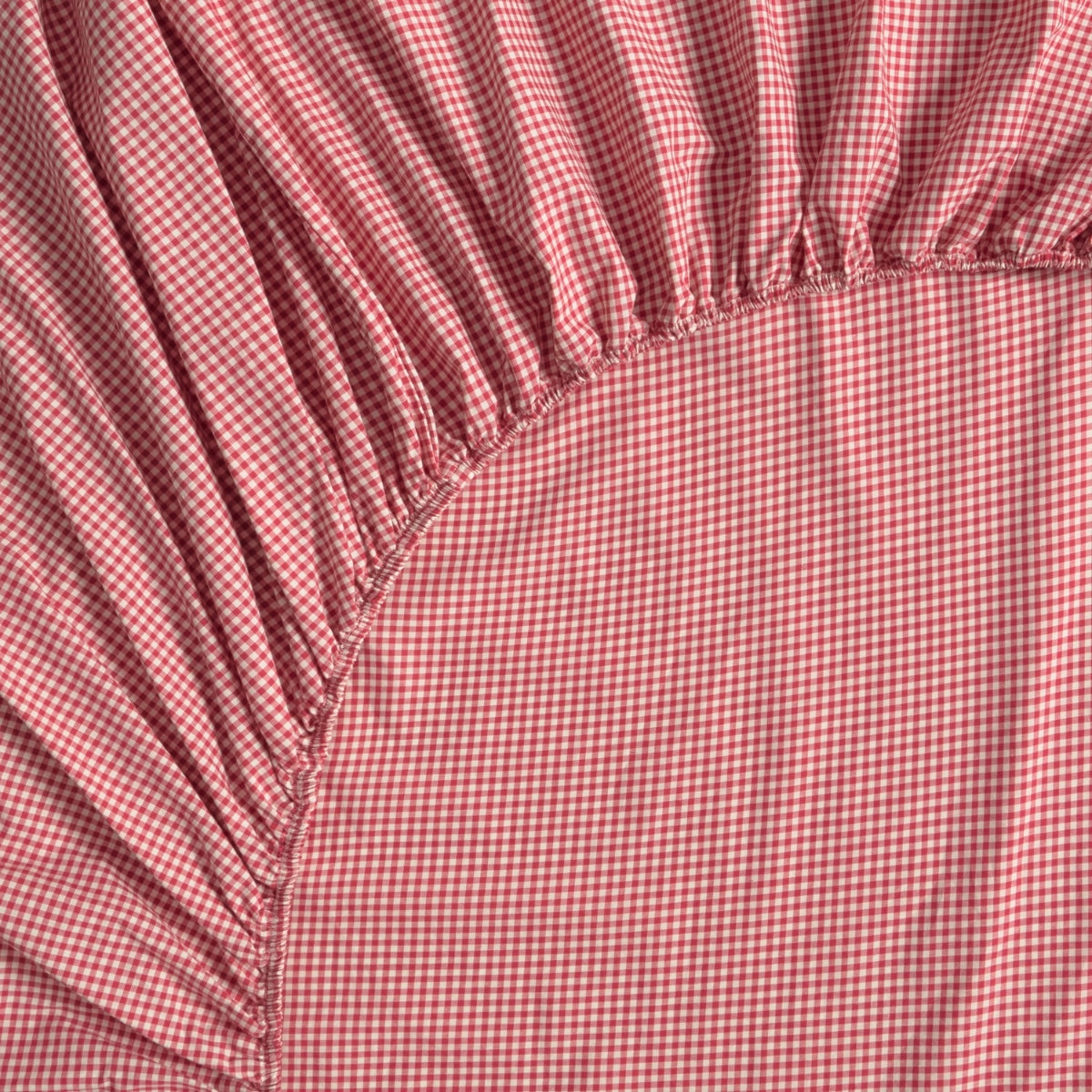 KIMCUAX-BAJER-A ROJO-2