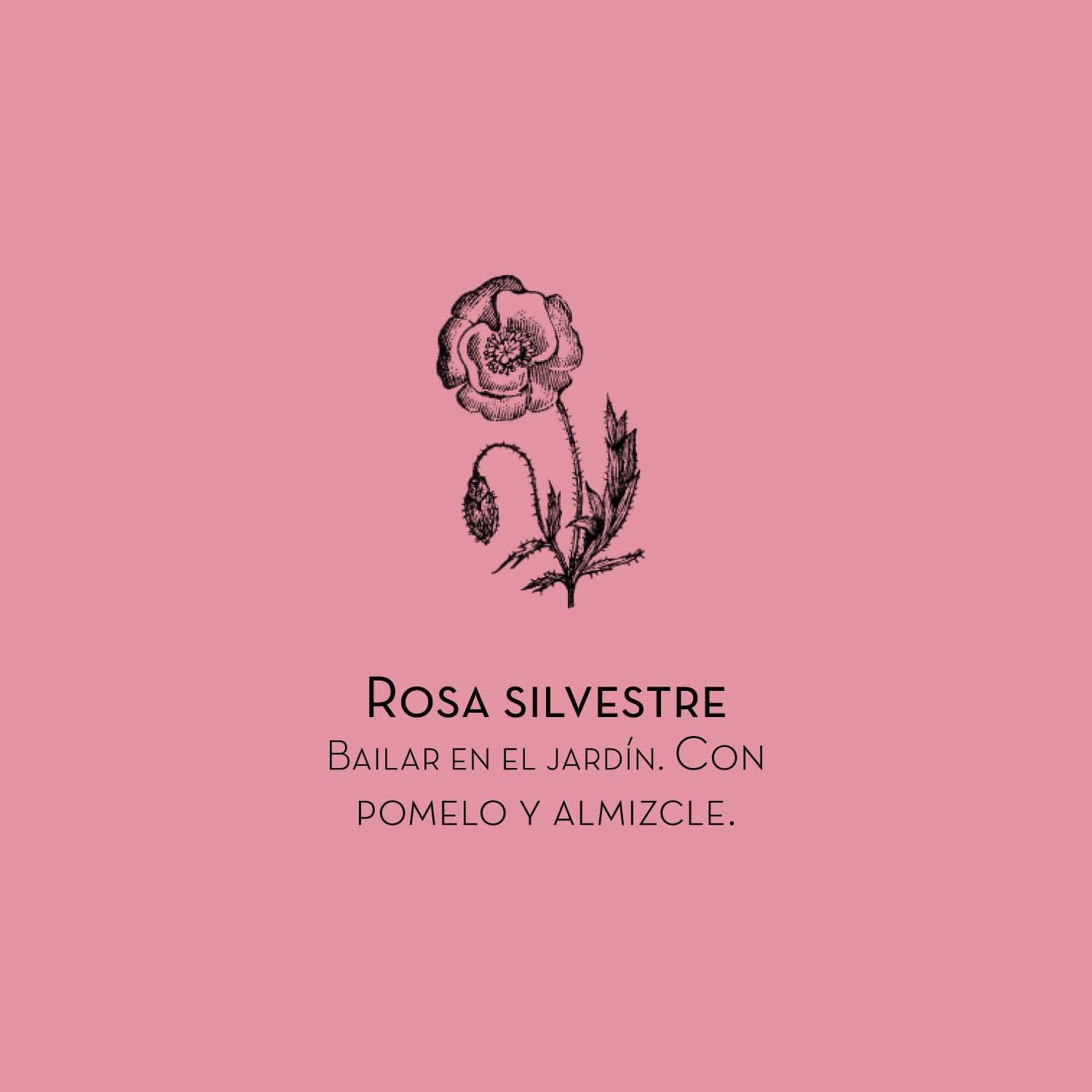 Rosa silvestre
