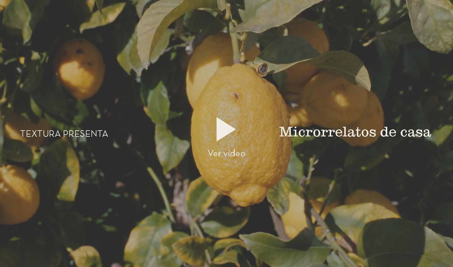 Cargar video: 