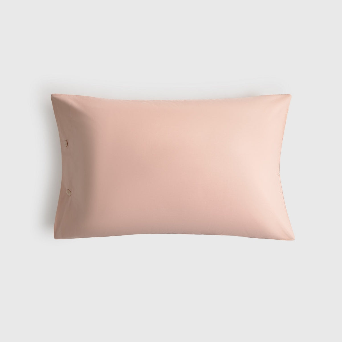 BESTO-FALMO-A ROSA-1