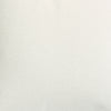 LESTER-COJIN-A BLANCO-2