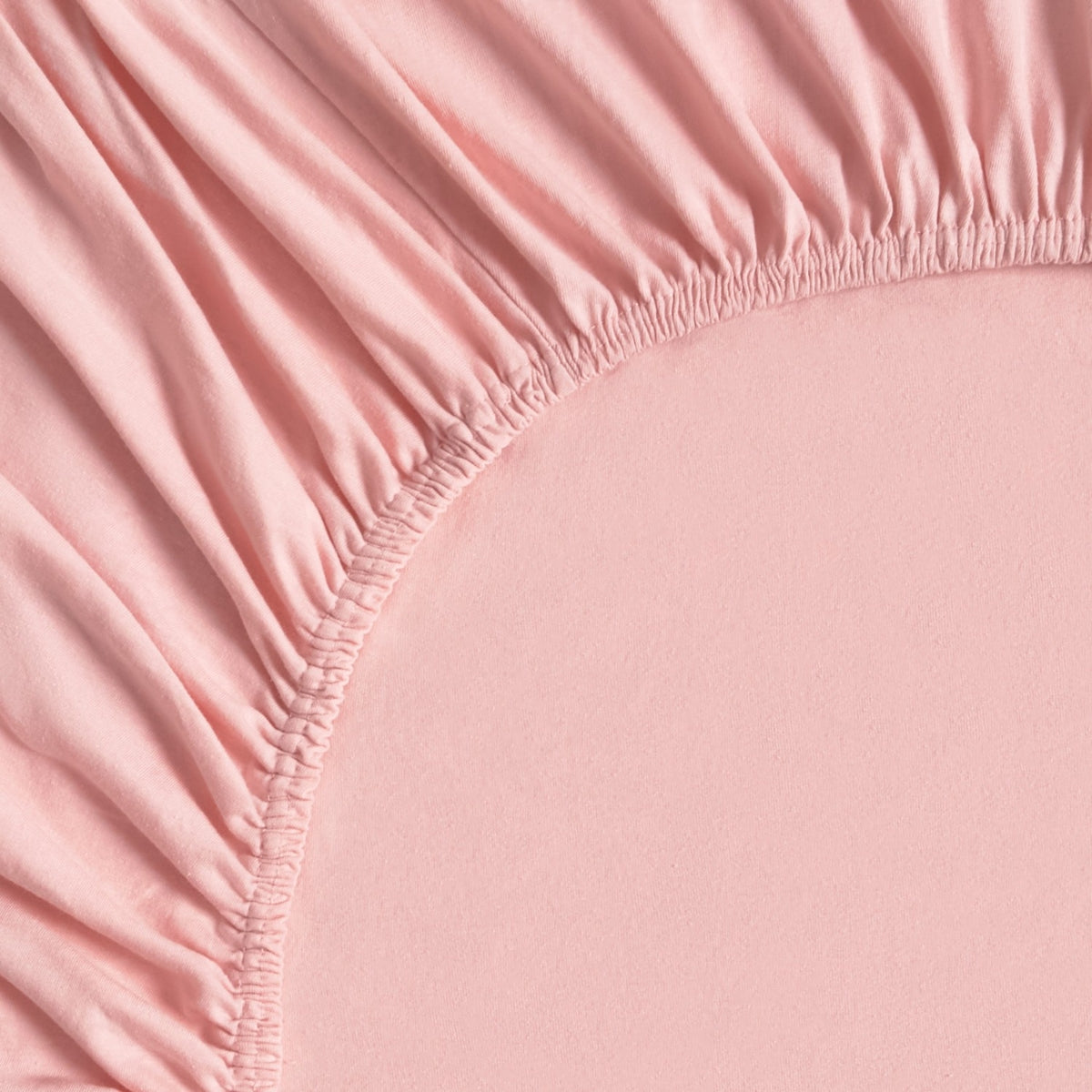 KINBI-BAJER-I ROSA-2