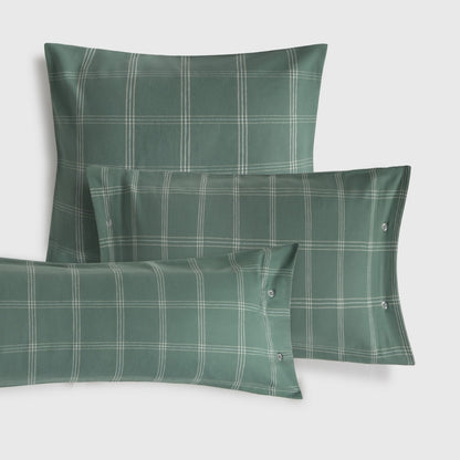 SAX-FALMO-A VERDE-3